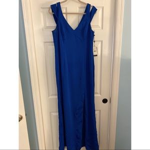 Adrianna Papell Blue Gown